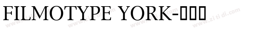 FILMOTYPE YORK字体转换